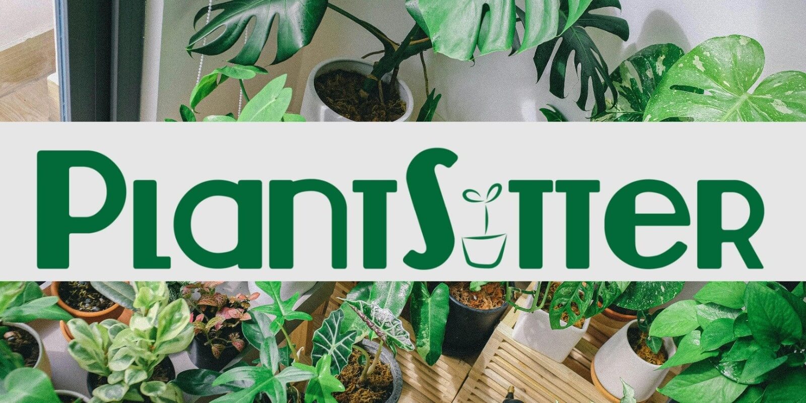 banner-plantsitter-dubai